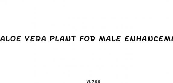 aloe vera plant for male enhancement