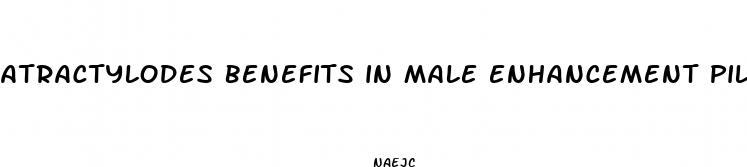 atractylodes benefits in male enhancement pills