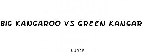 big kangaroo vs green kangaroo sex enhancement pills