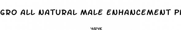 gro all natural male enhancement pills