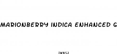 marionberry indica enhanced gummies