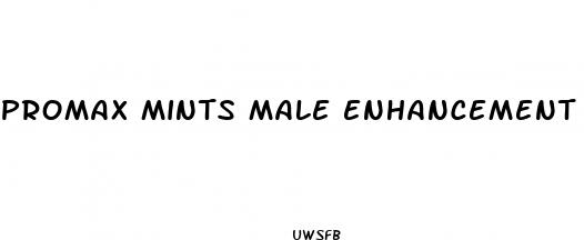 promax mints male enhancement