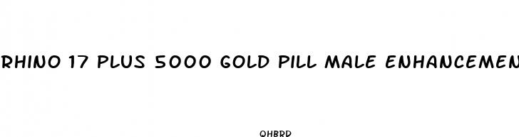 rhino 17 plus 5000 gold pill male enhancement