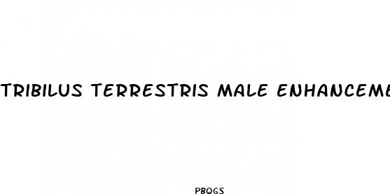 tribilus terrestris male enhancement