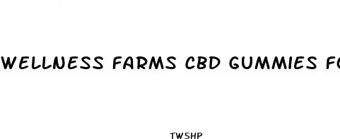 wellness farms cbd gummies for ed