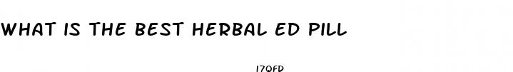 what is the best herbal ed pill