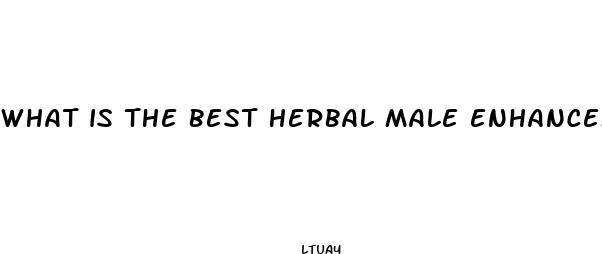 what is the best herbal male enhancement
