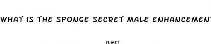 what is the sponge secret male enhancement