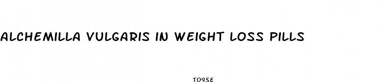 alchemilla vulgaris in weight loss pills