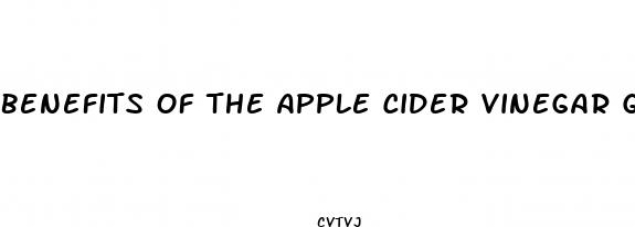 benefits of the apple cider vinegar gummies
