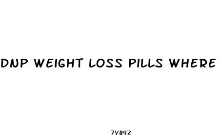 dnp weight loss pills where