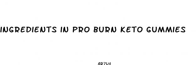 ingredients in pro burn keto gummies