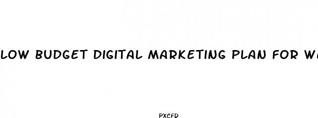 low budget digital marketing plan for weight loss pills