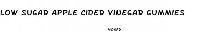 low sugar apple cider vinegar gummies