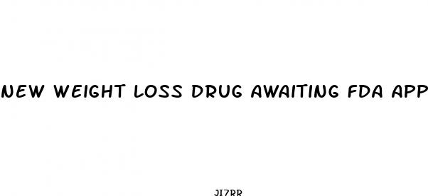 new weight loss drug awaiting fda approval