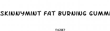 skinnymint fat burning gummies reviews