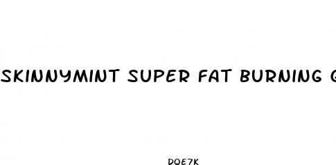 skinnymint super fat burning gummies review