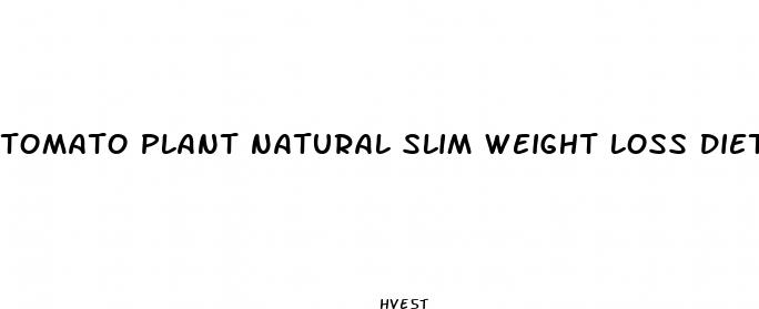 tomato plant natural slim weight loss diet pills