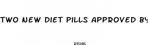two new diet pills approved by fda