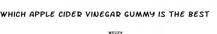 which apple cider vinegar gummy is the best