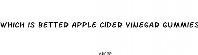 which is better apple cider vinegar gummies or liquid