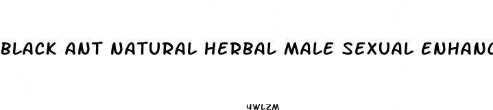 black ant natural herbal male sexual enhancement supplement