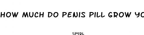 how much do penis pill grow your dick