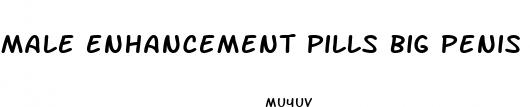 male enhancement pills big penis