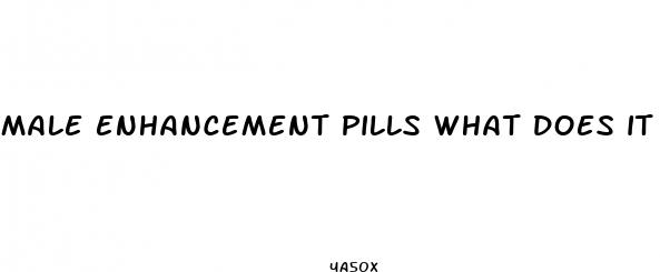 male enhancement pills what does it do