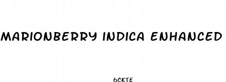 marionberry indica enhanced gummies