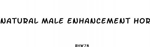 natural male enhancement horse pills