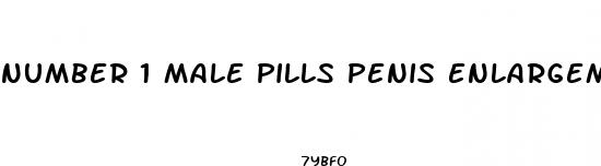number 1 male pills penis enlargement