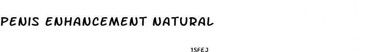 penis enhancement natural