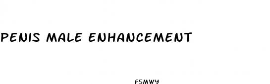 penis male enhancement