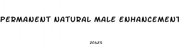 permanent natural male enhancement pills