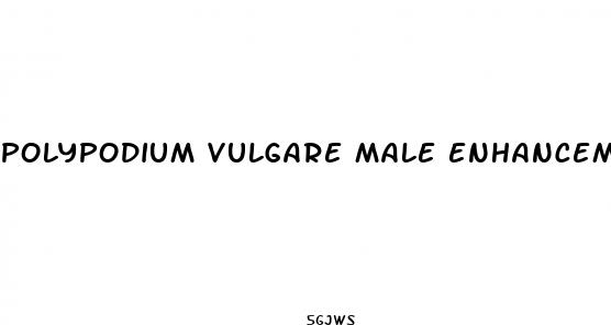 polypodium vulgare male enhancement