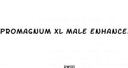 promagnum xl male enhancement penis enlargement pills at