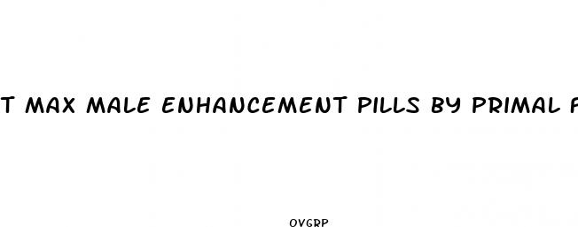 t max male enhancement pills by primal force