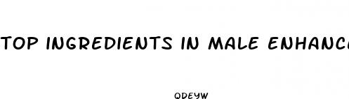 top ingredients in male enhancement pills