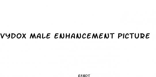 vydox male enhancement picture