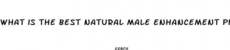 what is the best natural male enhancement pill