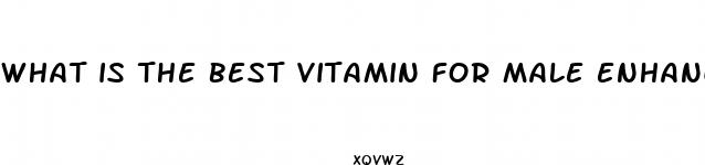 what is the best vitamin for male enhancement