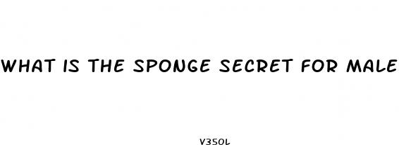 what is the sponge secret for male enhancement