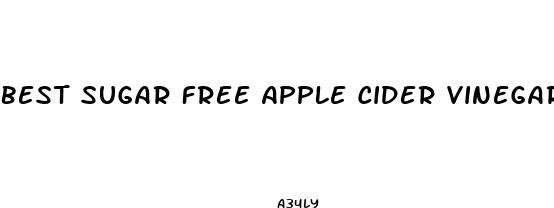 best sugar free apple cider vinegar gummies