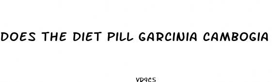does the diet pill garcinia cambogia z really work