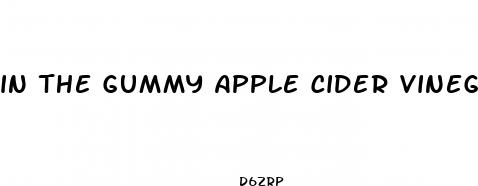 in the gummy apple cider vinegar with the mother