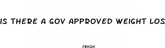 is there a gov approved weight loss pill