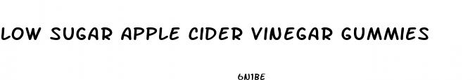 low sugar apple cider vinegar gummies