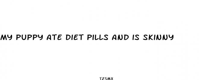 my puppy ate diet pills and is skinny