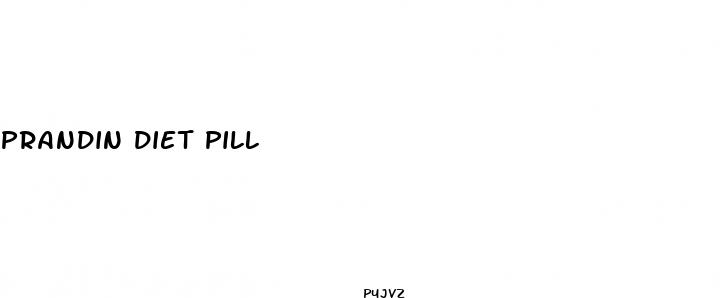 prandin diet pill